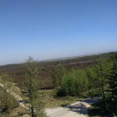 6 Person In Hovborg-by Traum