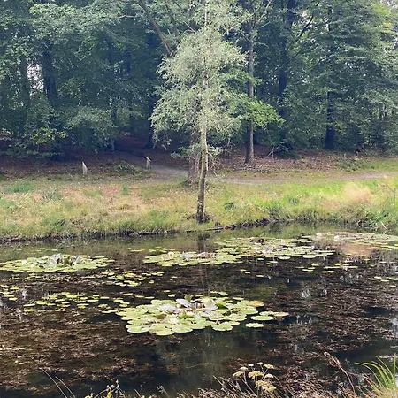 6 Person In Hovborg-by Traum Holiday home *