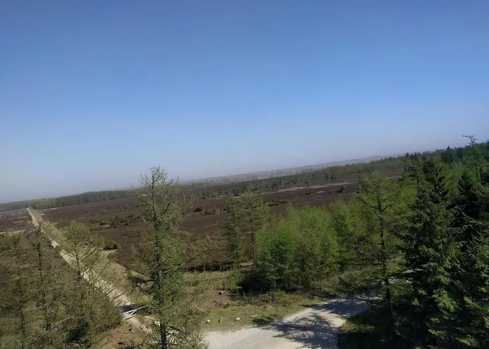6 Person In Hovborg-by Traum