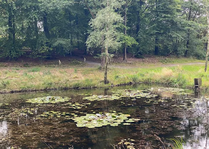 6 Person In Hovborg-by Traum Holiday home *